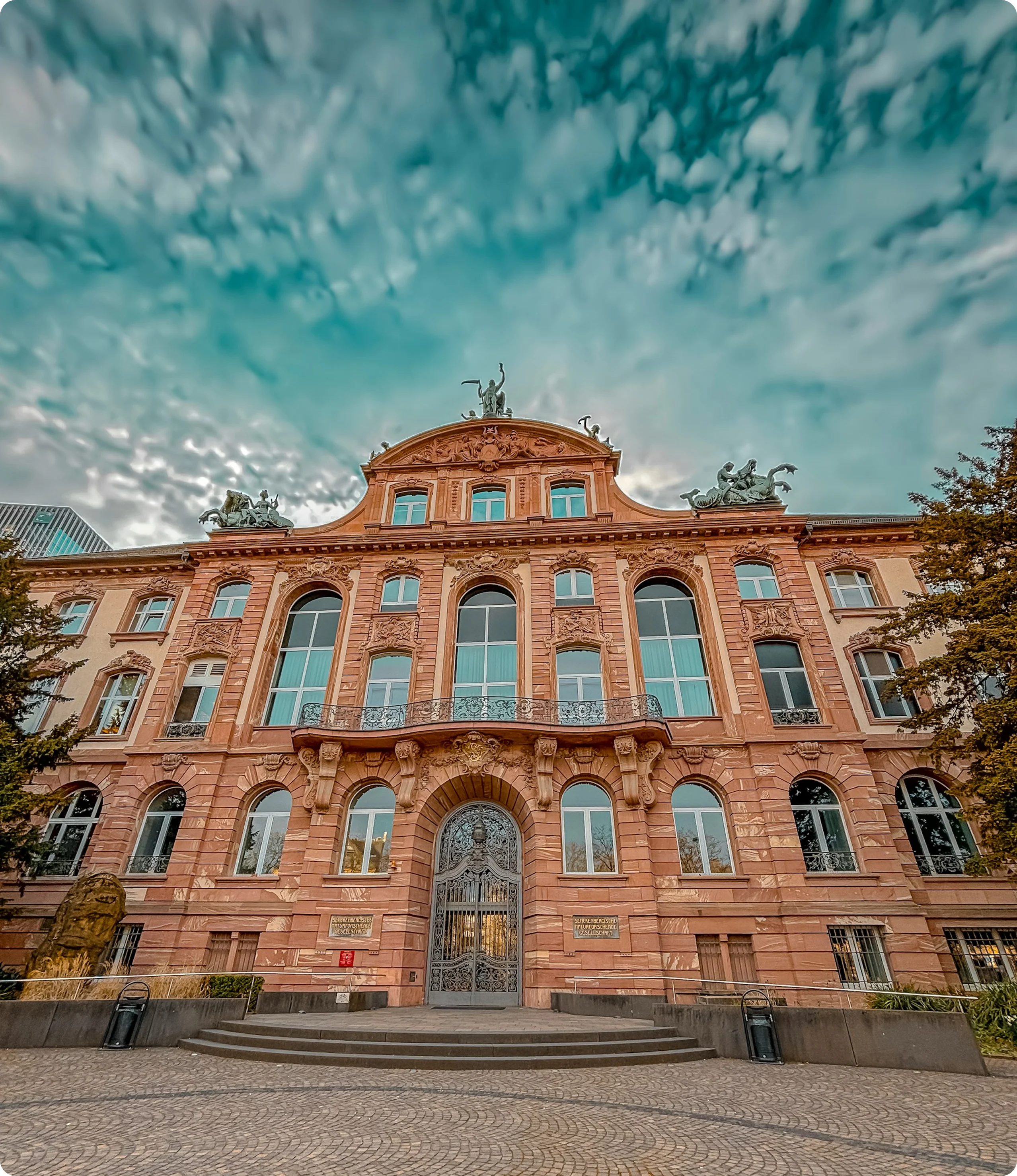 Study in Germany